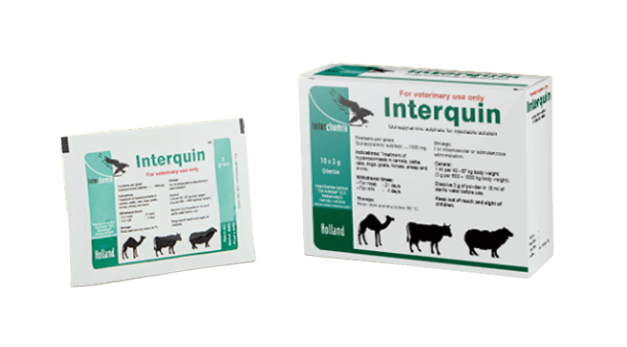 Interquin