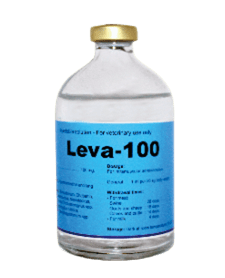 Leva-100